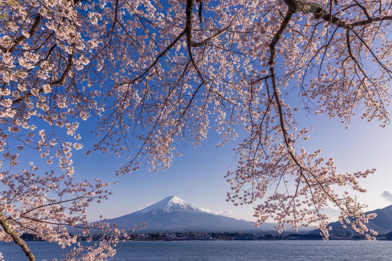 Villas Fuji Фудзикавагутико Экстерьер фото